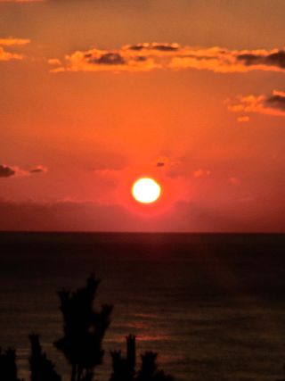 정희군님의 자유주제 · 자유게시판 작성글 사진