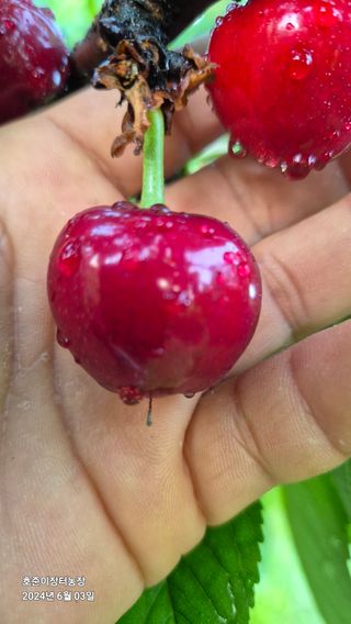 김호준님의 자유주제 · 자유게시판 작성글 사진