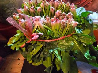 오영관님의 자유주제 · 자유게시판 작성글 사진