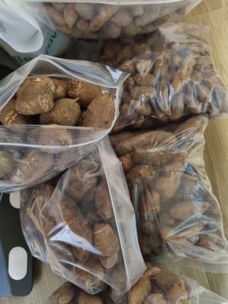 부금리(금강농원)님의 작성글 사진