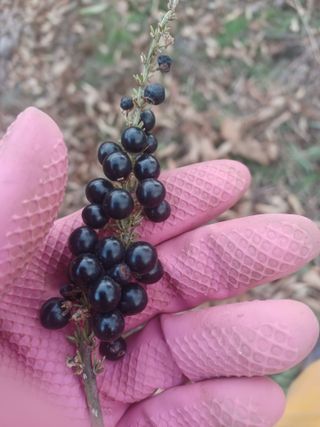 무료지식나눔 팜닥터님의 2025년, 농사계획은 어떻게 되시나요? · 참여글 작성글 사진