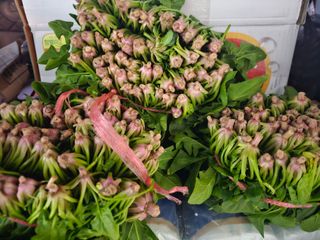 오영관님의 자유주제 · 자유게시판 작성글 사진