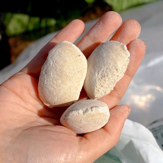 누보농장님의 자유주제 · 자유게시판 작성글 사진