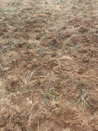 무료지식나눔 팜닥터님의 2025년, 농사계획은 어떻게 되시나요? · 참여글 작성글 사진