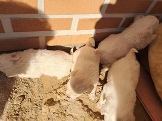 별빛농장지기님의 자유주제 · 자유게시판 작성글 사진