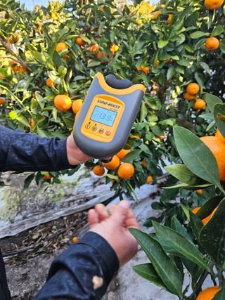 새달귤농장님의 2025년, 농사계획은 어떻게 되시나요? · 참여글 작성글 사진