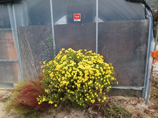 호박16023님의 작성글 사진