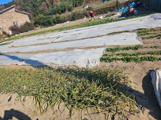 오영관님의 자유주제 · 자유게시판 작성글 사진