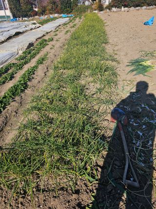 오영관님의 자유주제 · 자유게시판 작성글 사진