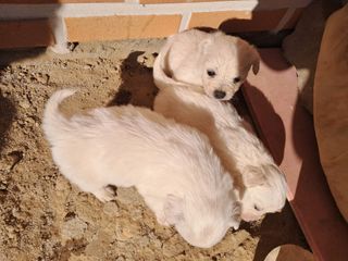 별빛농장지기님의 자유주제 · 자유게시판 작성글 사진