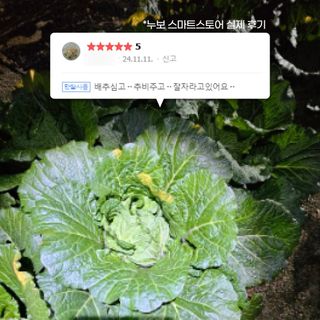 누보농장님의 자유주제 · 자유게시판 작성글 사진