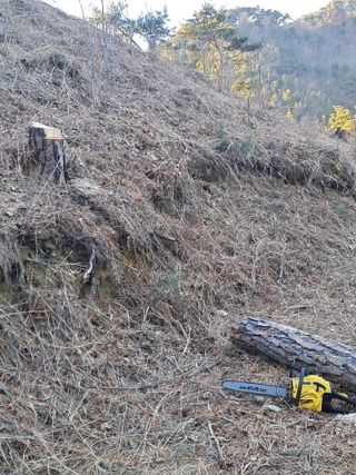 알 수 없음님의 자유주제 · 자유게시판 작성글 사진