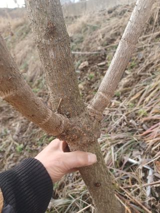 무료지식나눔 팜닥터님의 2025년, 농사계획은 어떻게 되시나요? · 참여글 작성글 사진