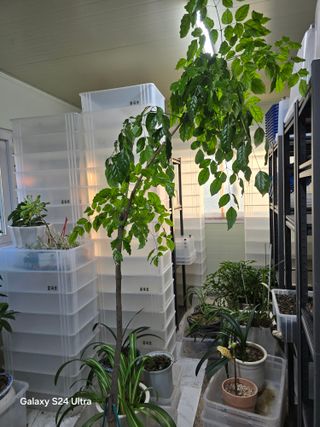 소병찬님의 2025년, 농사계획은 어떻게 되시나요? · 참여글 작성글 사진