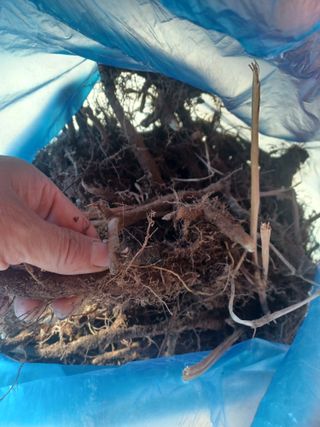 무료지식나눔 팜닥터님의 2025년, 농사계획은 어떻게 되시나요? · 참여글 작성글 사진