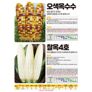 아시아종묘님의 자유주제 · 자유게시판 작성글 사진