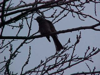 김상진님의 자유주제 · 자유게시판 작성글 사진