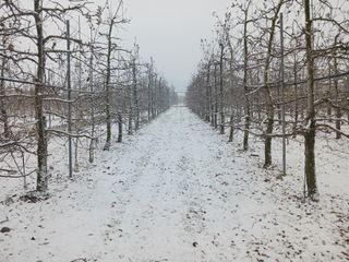 다나농원 이진우님의 자유주제 · 자유게시판 작성글 사진