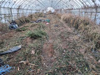 진여화 농원님의 2025년, 농사계획은 어떻게 되시나요? · 참여글 작성글 사진