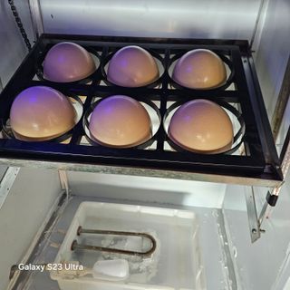 박용열조물주님 님의 자유주제 · 자유게시판 작성글 사진