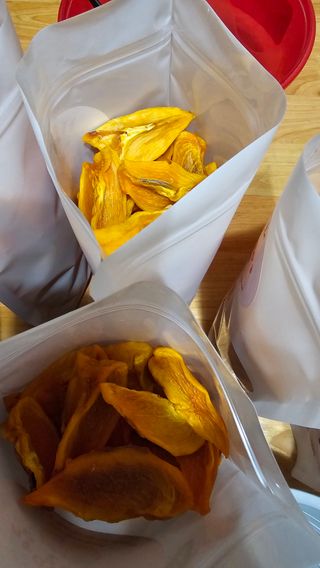 늘푸른농장님의 자유주제 · 자유게시판 작성글 사진