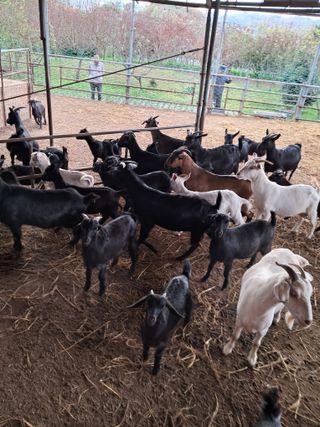 김석현님의 자유주제 · 자유게시판 작성글 사진