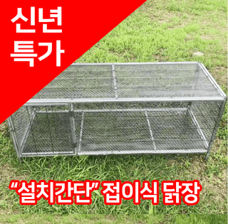 다이쏘(권자영)님의 작성글 사진