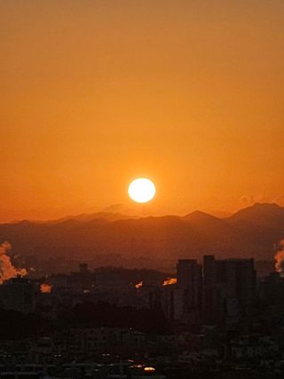 늘푸른농장님의 자유주제 · 자유게시판 작성글 사진