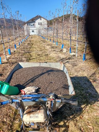 알 수 없음님의 자유주제 · 자유게시판 작성글 사진