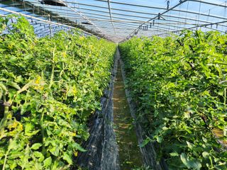 윤희철님의 작성글 사진