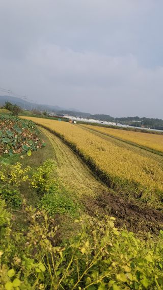 새렘님의 자유주제 · 건의해요 작성글 사진