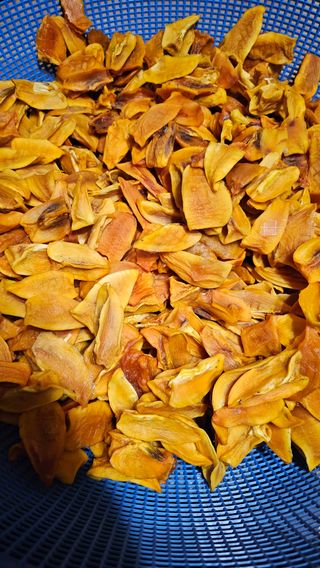 늘푸른농장님의 자유주제 · 자유게시판 작성글 사진