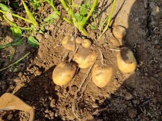 진여화 농원님의 2025년, 농사계획은 어떻게 되시나요? · 참여글 작성글 사진