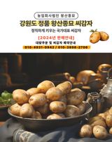 팜모닝 자유주제·자유게시판 게시글 이미지