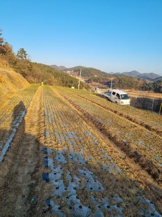 김영일님의 2025년, 농사계획은 어떻게 되시나요? · 참여글 작성글 사진