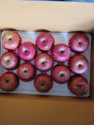 사과청일농원🍎님의 작성글 사진