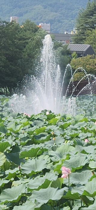 동남아님의 농업 경영체 등록 기준, 강화 vs 완화 · 참여글 작성글 사진