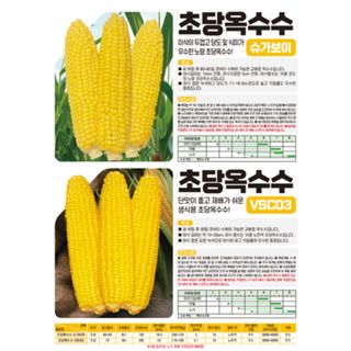 아시아종묘님의 자유주제 · 자유게시판 작성글 사진