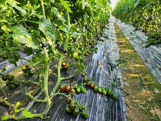 윤희철님의 작성글 사진