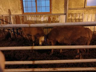 알 수 없음님의 자유주제 · 자유게시판 작성글 사진