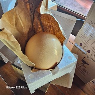 박용열조물주님 님의 자유주제 · 자유게시판 작성글 사진