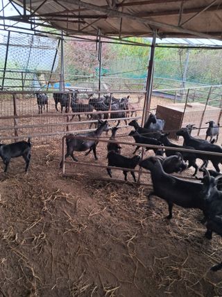 김석현님의 자유주제 · 자유게시판 작성글 사진