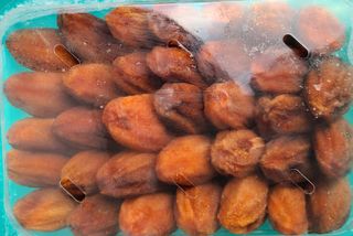 knlee님의 2025년, 농사계획은 어떻게 되시나요? · 참여글 작성글 사진