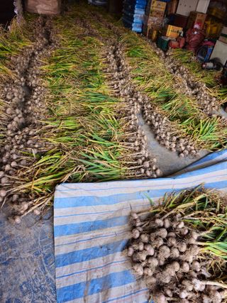 이장우님의 2025년, 농사계획은 어떻게 되시나요? · 참여글 작성글 사진