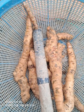 최평선님의 농업 경영체 등록 기준, 강화 vs 완화 · 참여글 작성글 사진