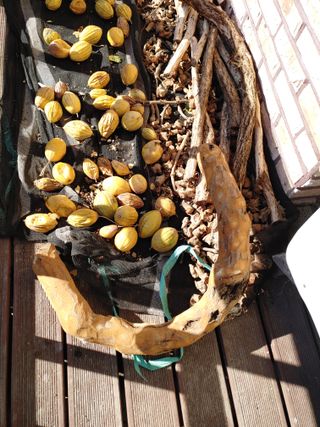 이현상님의 자유주제 · 자유게시판 작성글 사진