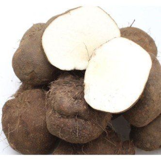 둥근마지기님의 장터 판매 상품 [둥근마] 첨부 사진