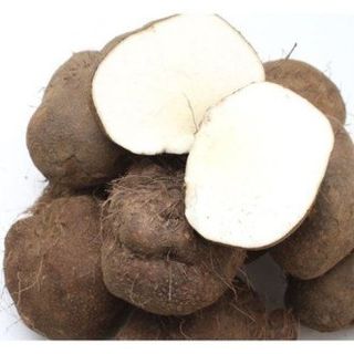 둥근마지기님의 작성글 사진