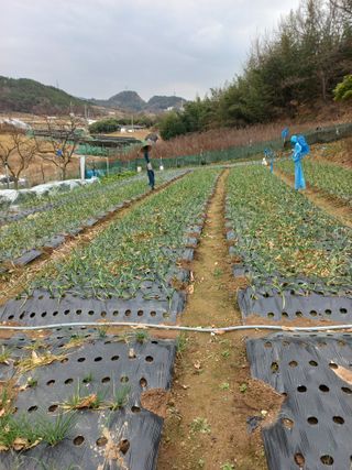 自淡茅亭님의 자유주제 · 자유게시판 작성글 사진