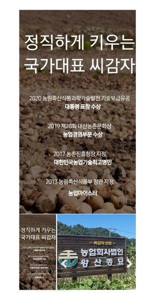 대산농사대장님의 감자 · 자유게시판 작성글 사진